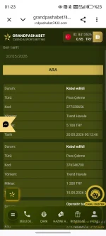 Screenshot_20260520_012336_com_android_chrome_CustomTabActivity.webp
