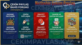 1779391086137.webp