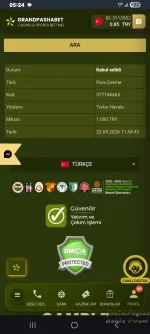 8981.webp