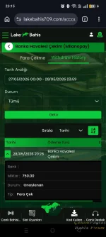 43069.webp