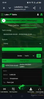 43725.webp