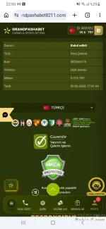 Screenshot_20260609-220058_Chrome.webp