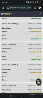 Screenshot_20260617-041329.webp