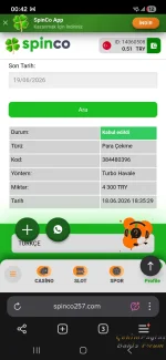 Screenshot_20260619_004228_Yandex Browser.webp