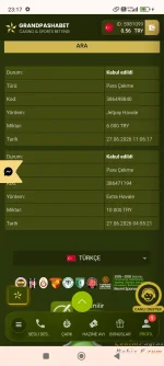 Screenshot_2026-06-27-23-17-01-511_com.android.chrome.webp