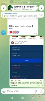 Screenshot_2026-06-30-11-21-08-683_org.telegram.messenger.webp