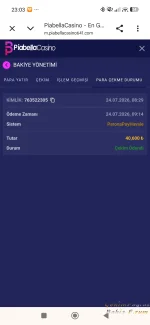 Screenshot_2026-07-24-23-03-37-480_com.android.chrome.webp