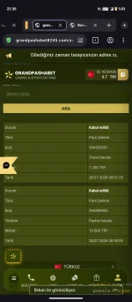 6099.webp