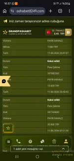 Screenshot_20260812_165707_Chrome.webp