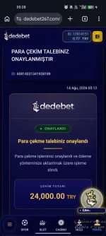 3115.webp
