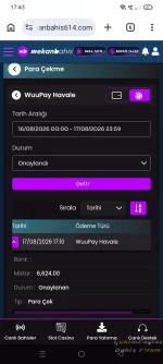 Screenshot_2026-08-17-17-43-41-72_40deb401b9ffe8e1df2f1cc5ba480b12.webp