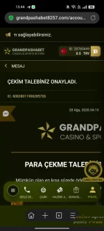 7651.webp