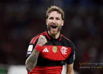 1788381502514.webp