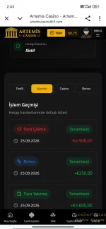 205.webp