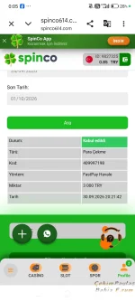 Screenshot_2026-10-01-00-05-54-951_com.android.chrome.webp
