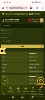 Screenshot_2026-10-10-03-08-58-548_com.android.chrome.webp