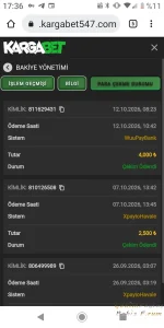 Screenshot_20261012-173625.webp