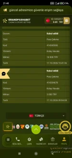 Screenshot_2026-10-17-21-40-47-062_com.android.chrome.webp