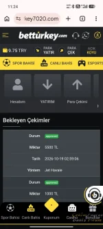 Screenshot_2026-10-19-11-24-00-736_com.android.chrome.webp