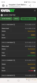 Screenshot_20261024_023622_Samsung Browser.webp