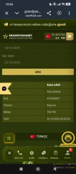 42035.webp