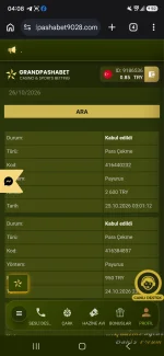 27438.webp
