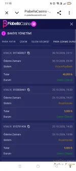 Screenshot_2026-10-31-11-18-19-47_40deb401b9ffe8e1df2f1cc5ba480b12.webp