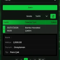 Zeynmalik30