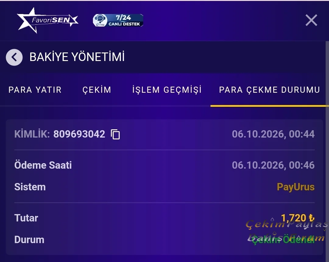 12999.webp