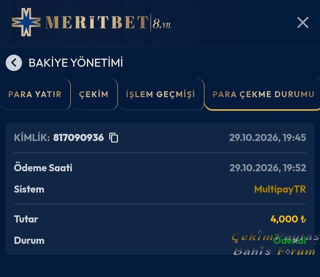 13847.webp