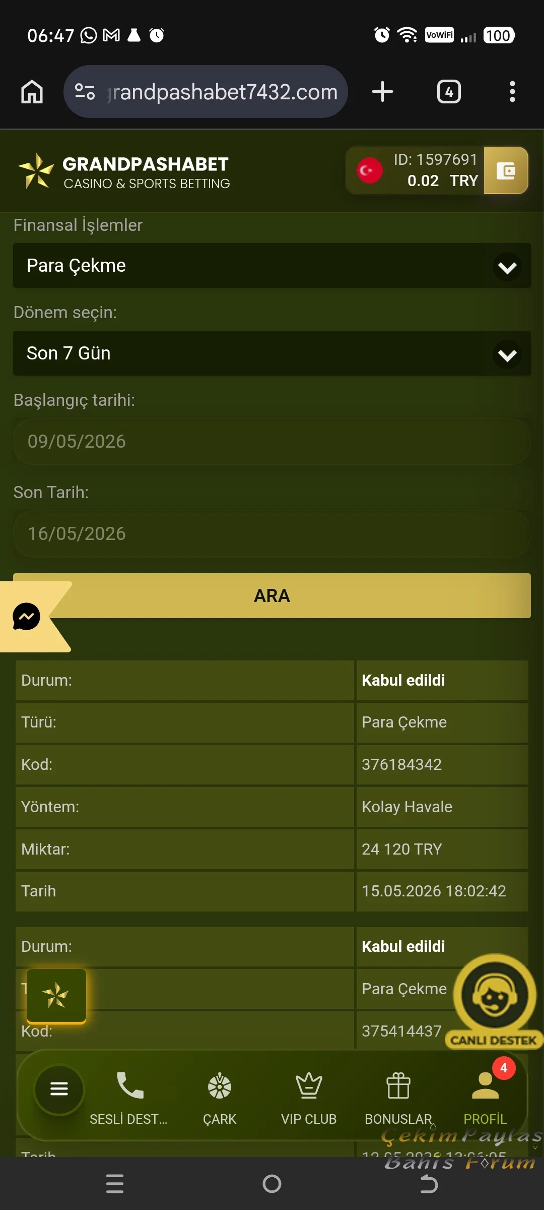 146.webp