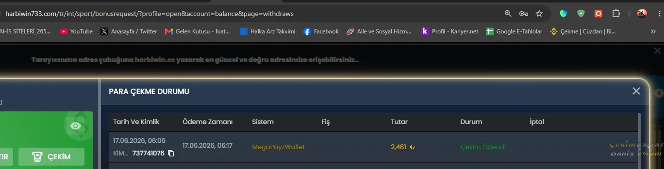 1781711958402.webp
