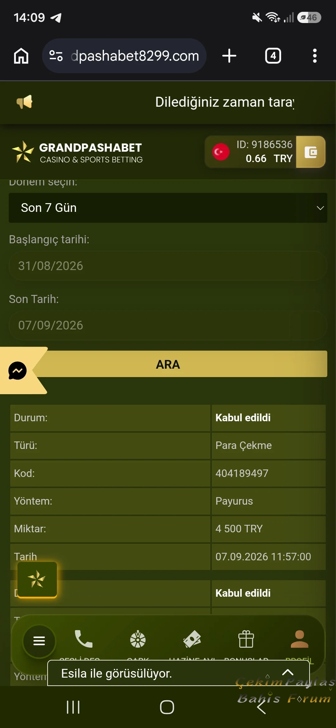 21594.webp