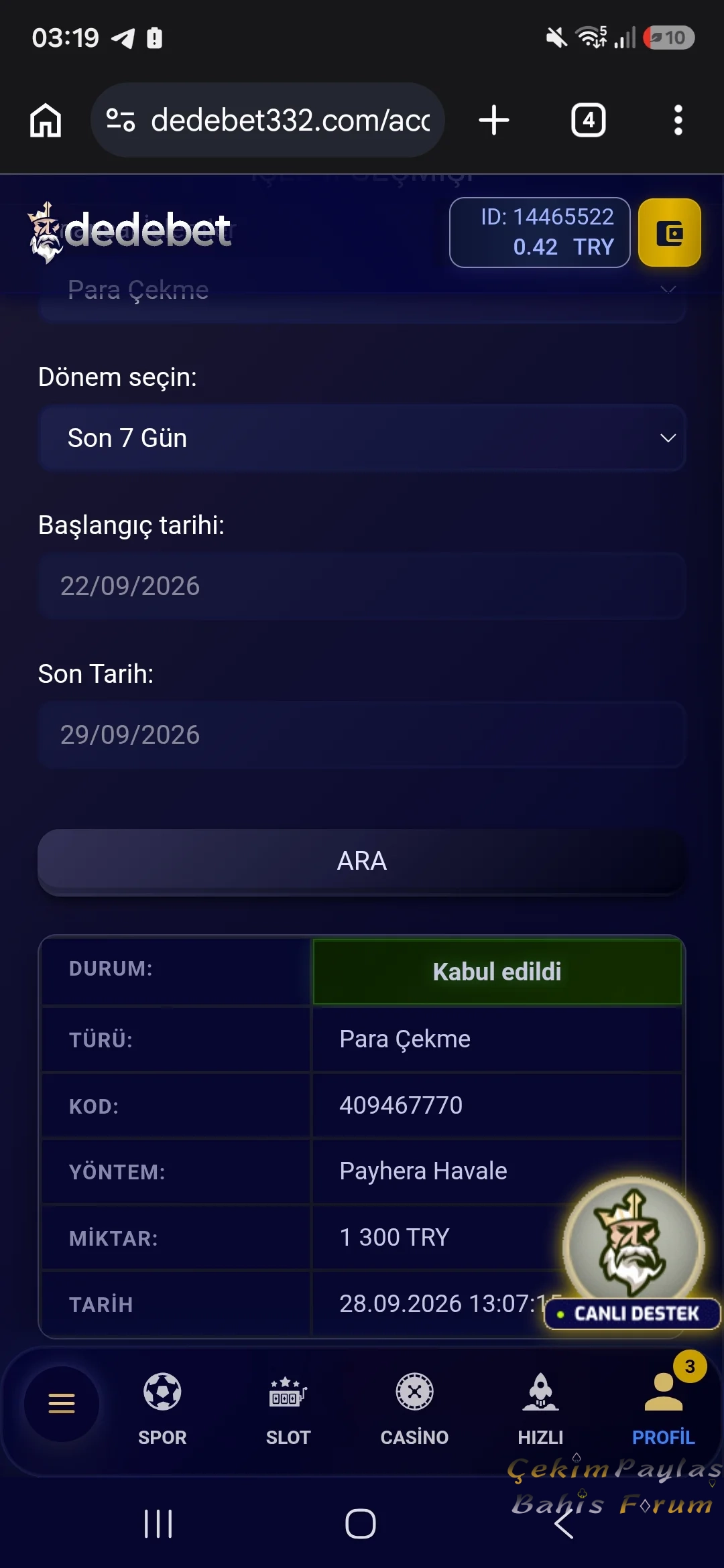 24196.webp