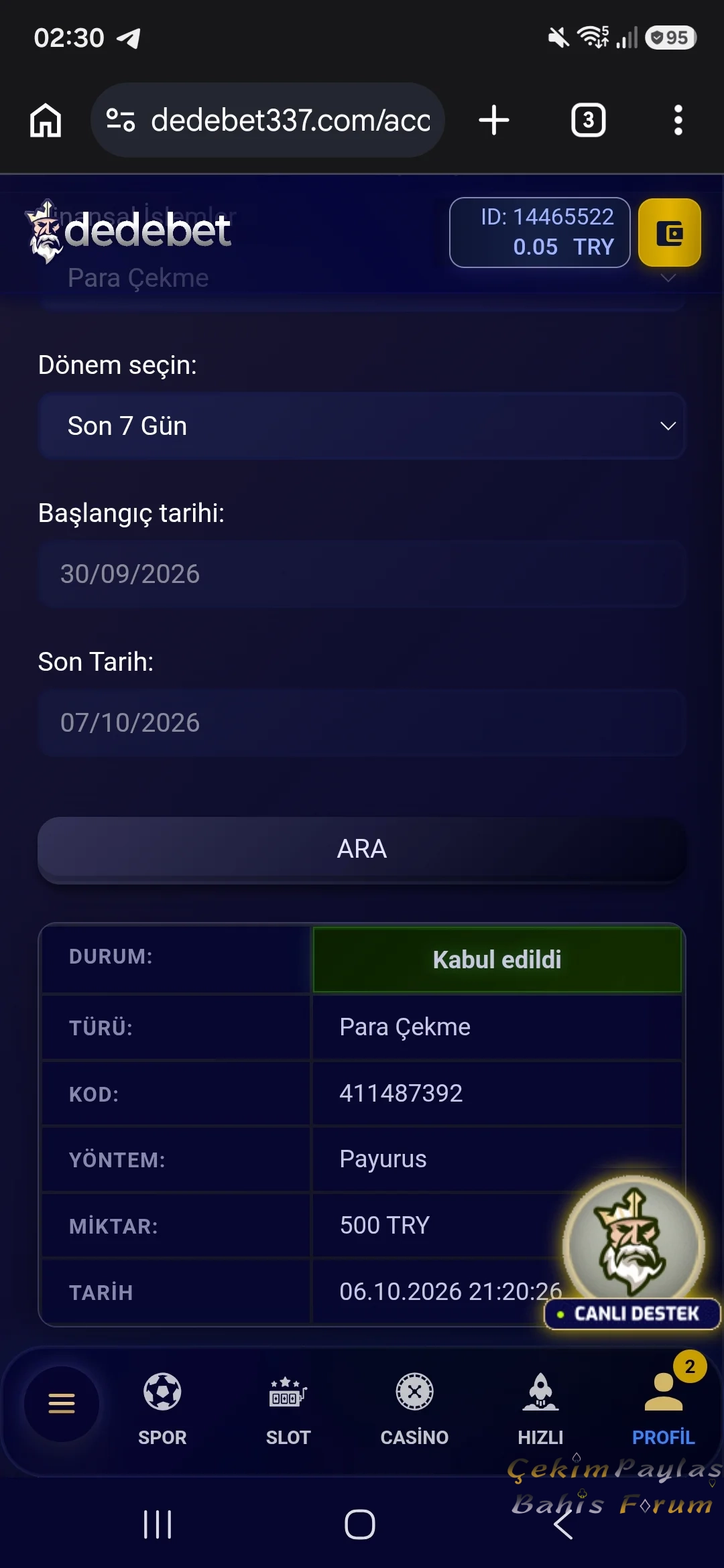 24870.webp