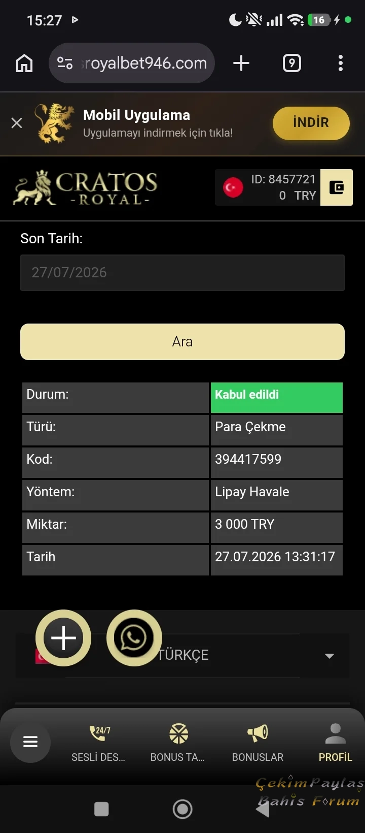 24955.webp