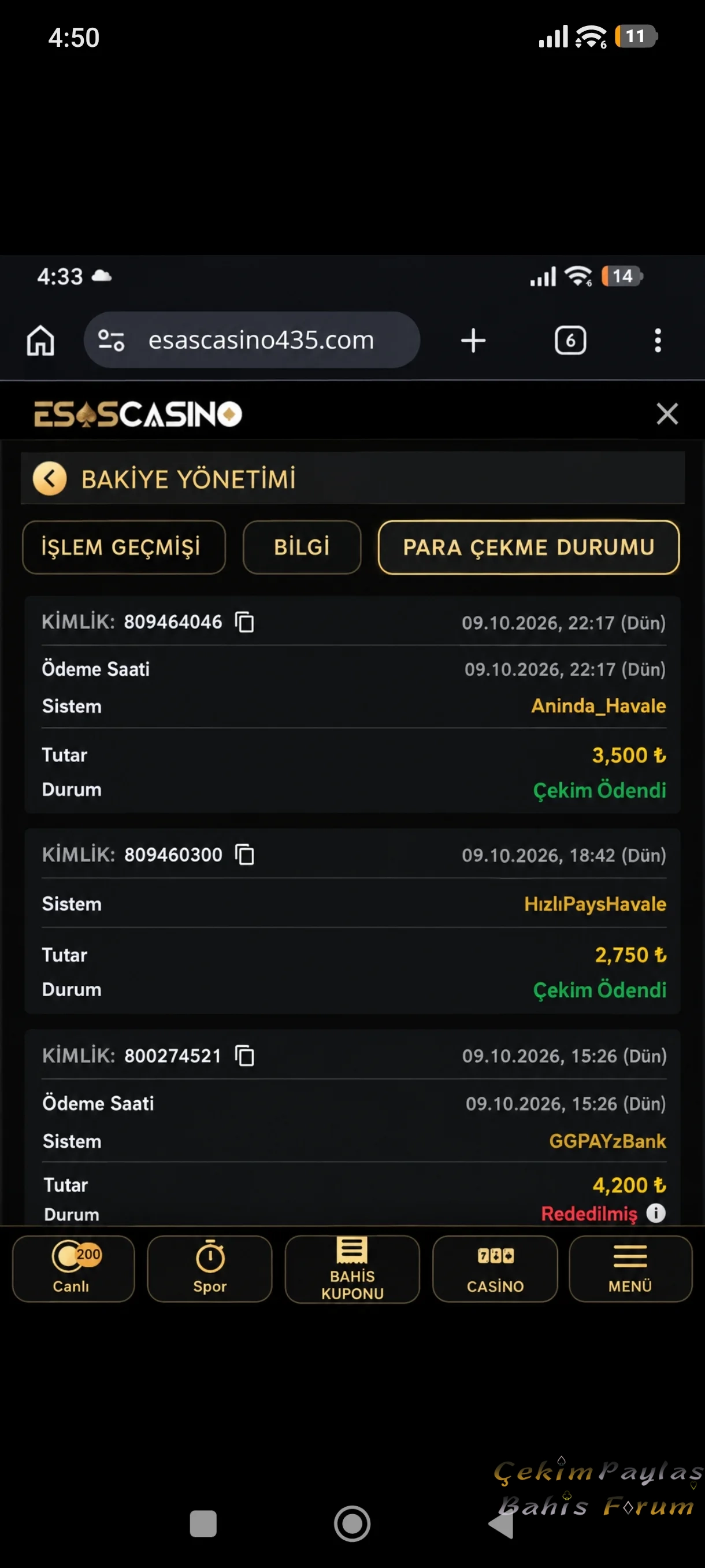 29509.webp