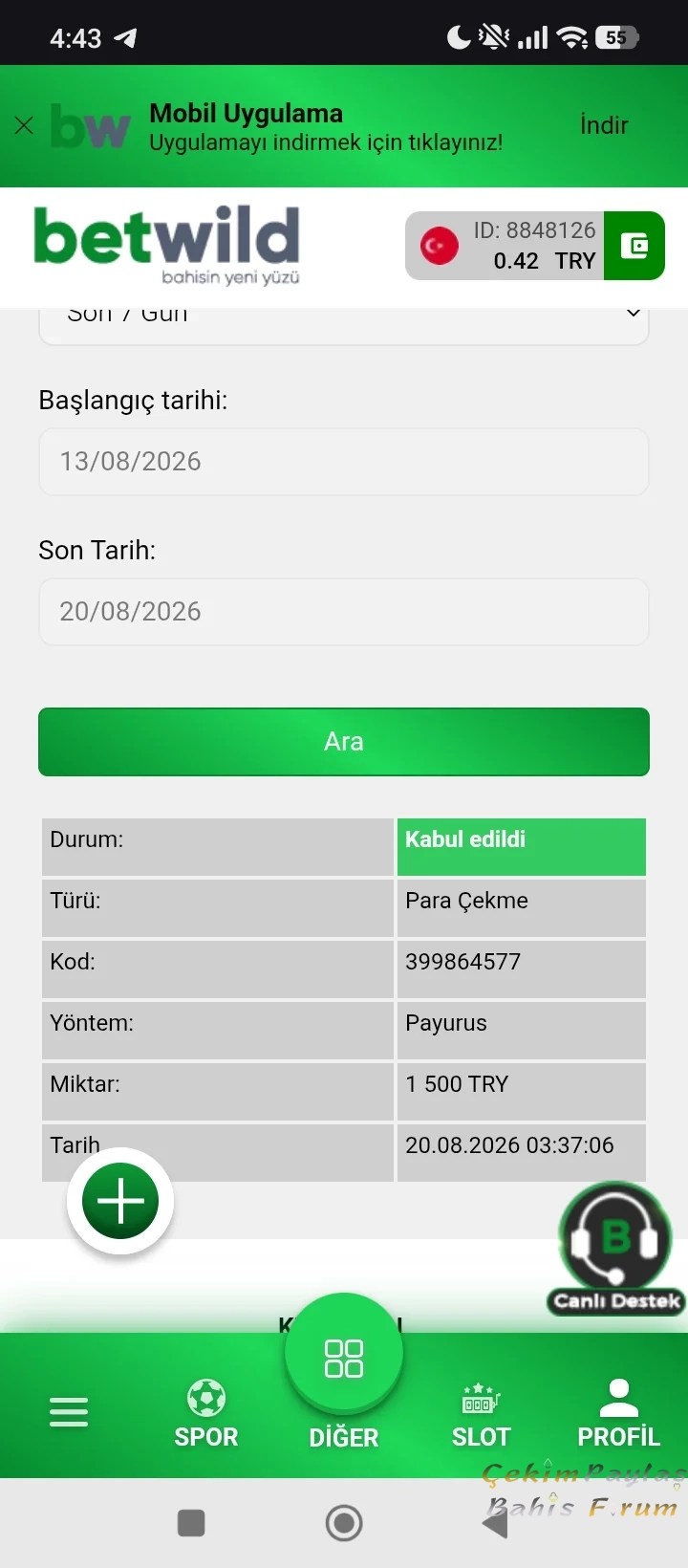 29531.webp