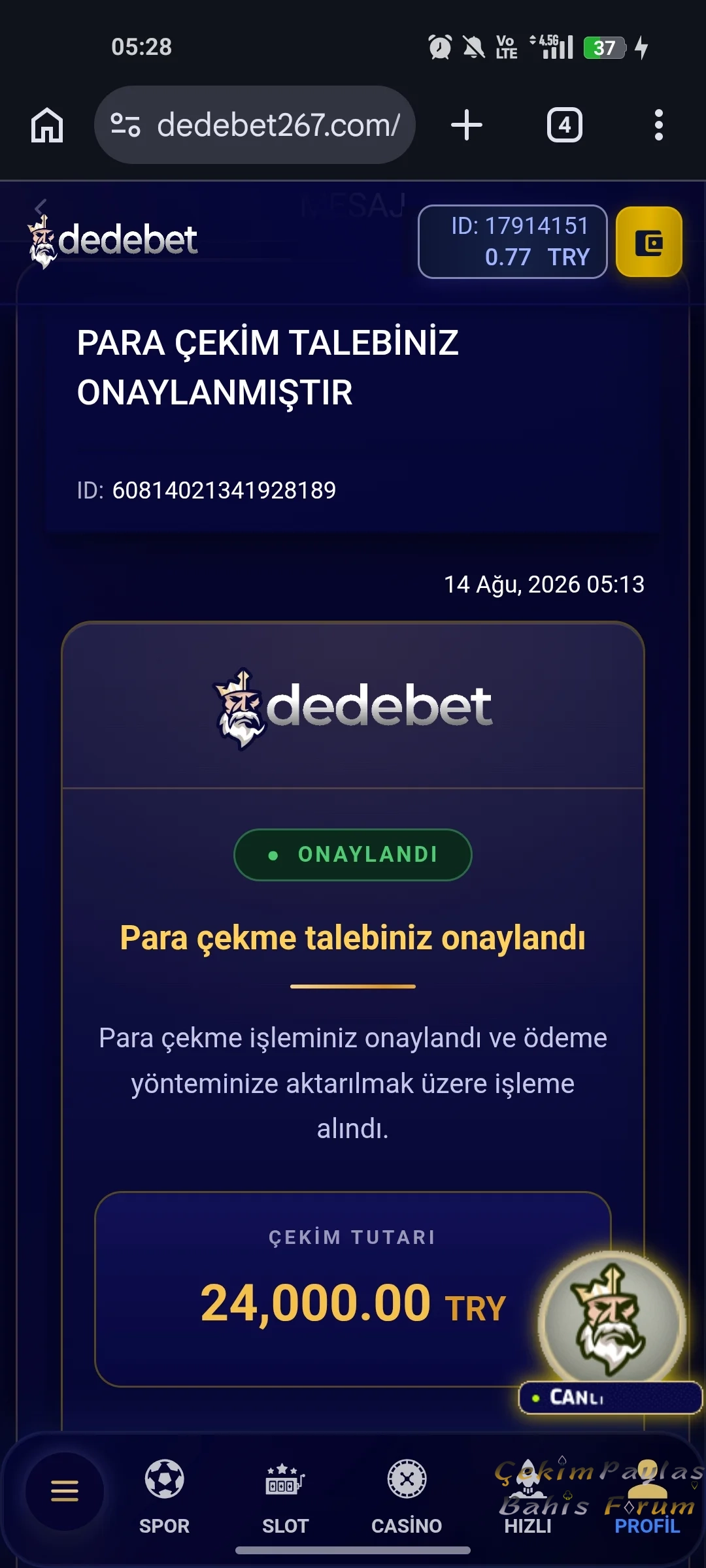 3115.webp