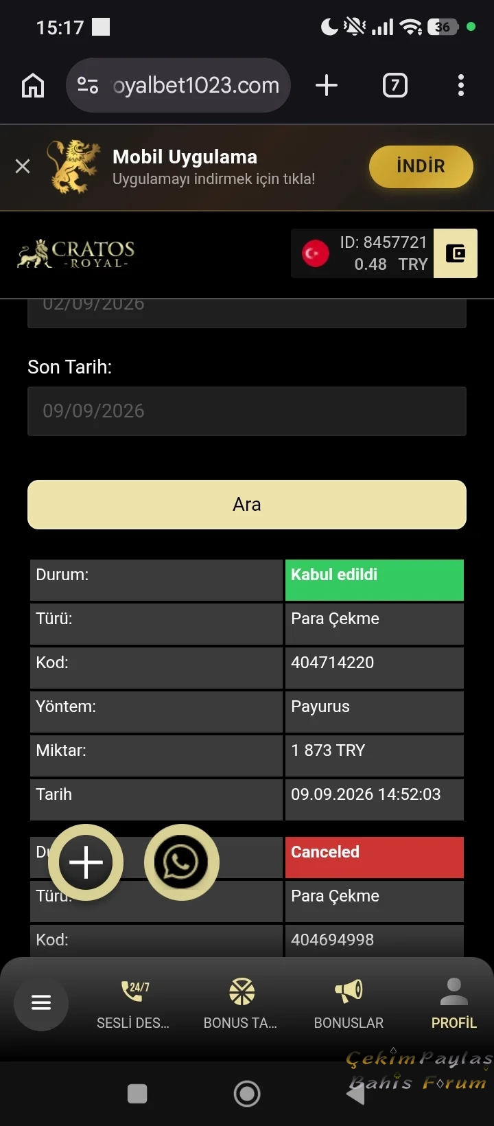 33585.webp