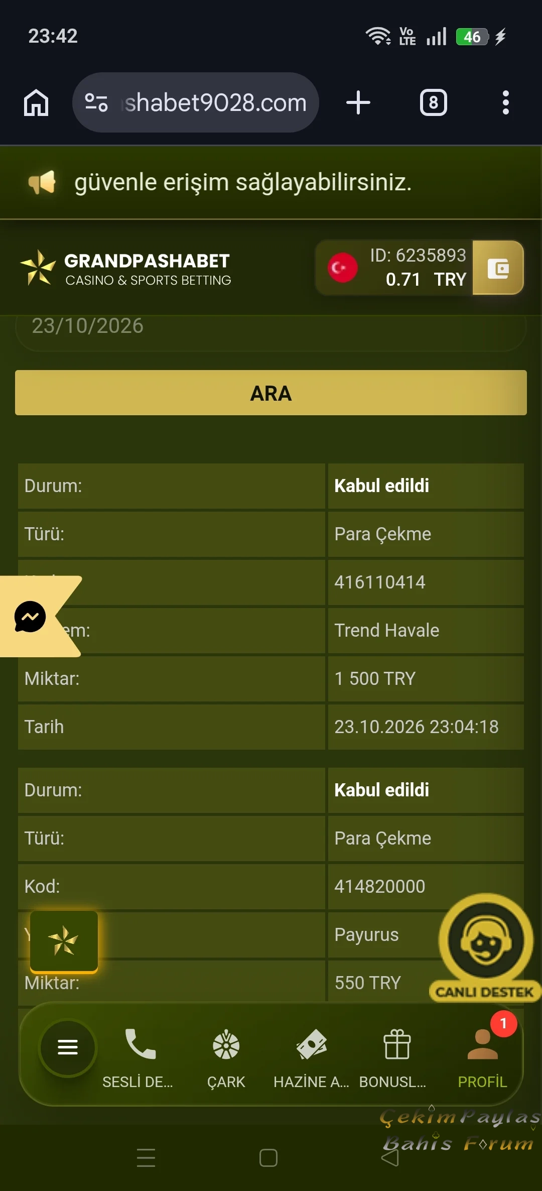 3829.webp
