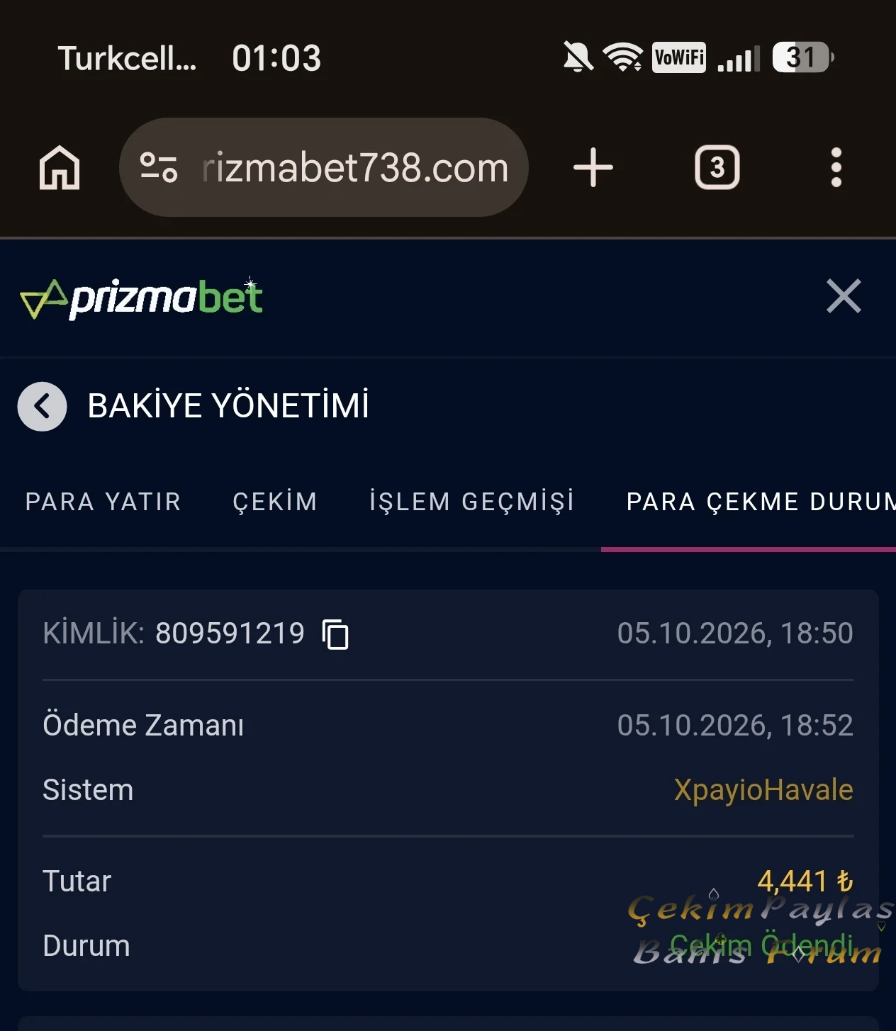 3991.webp