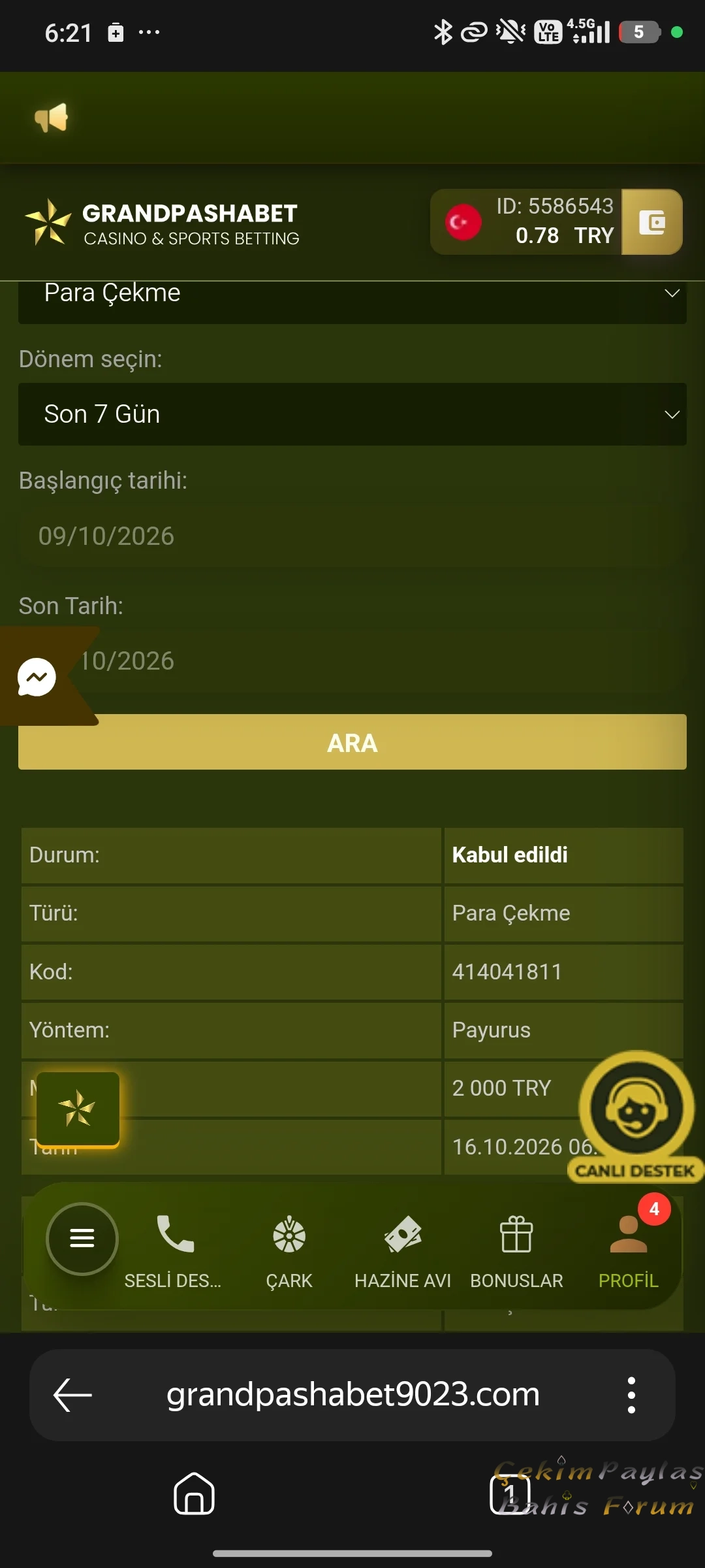 43231.webp