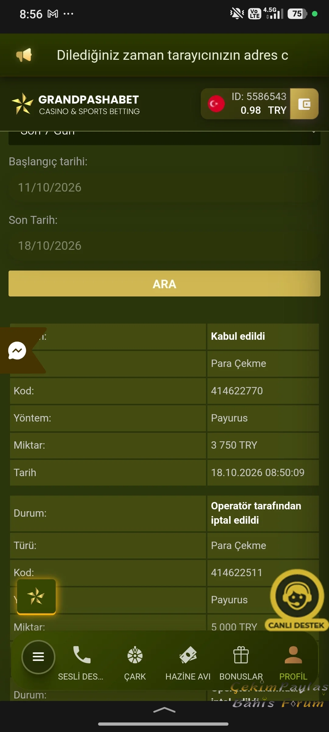 45653.webp