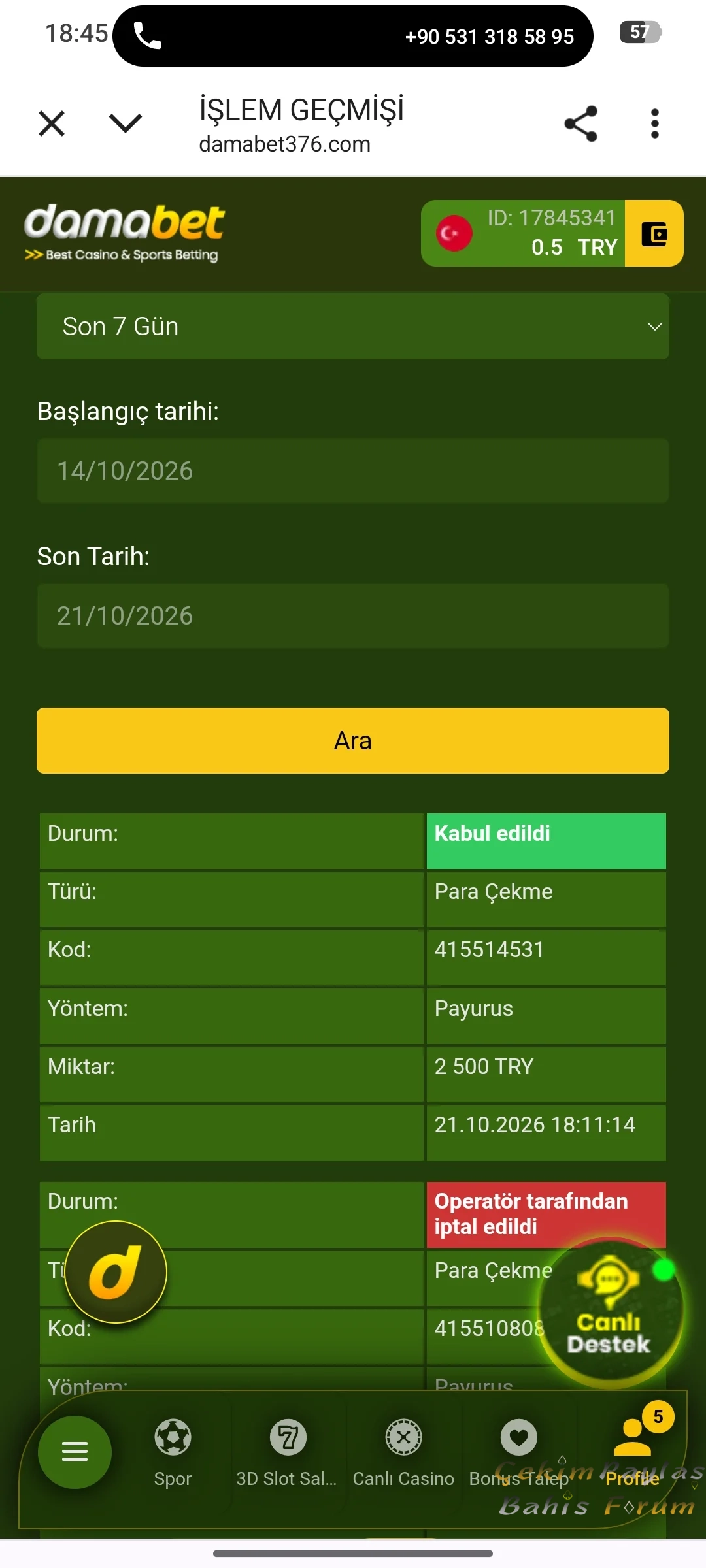 49100.webp