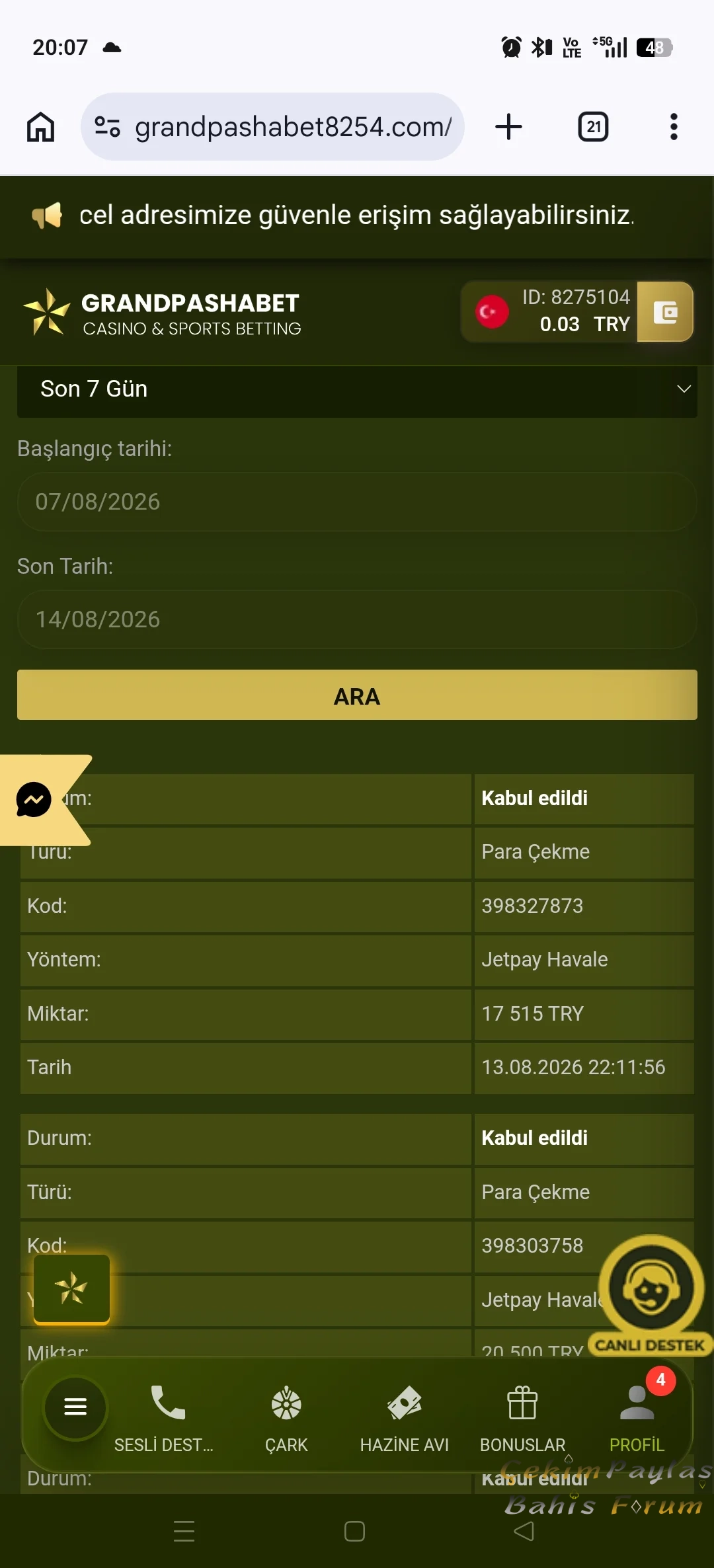 519.webp