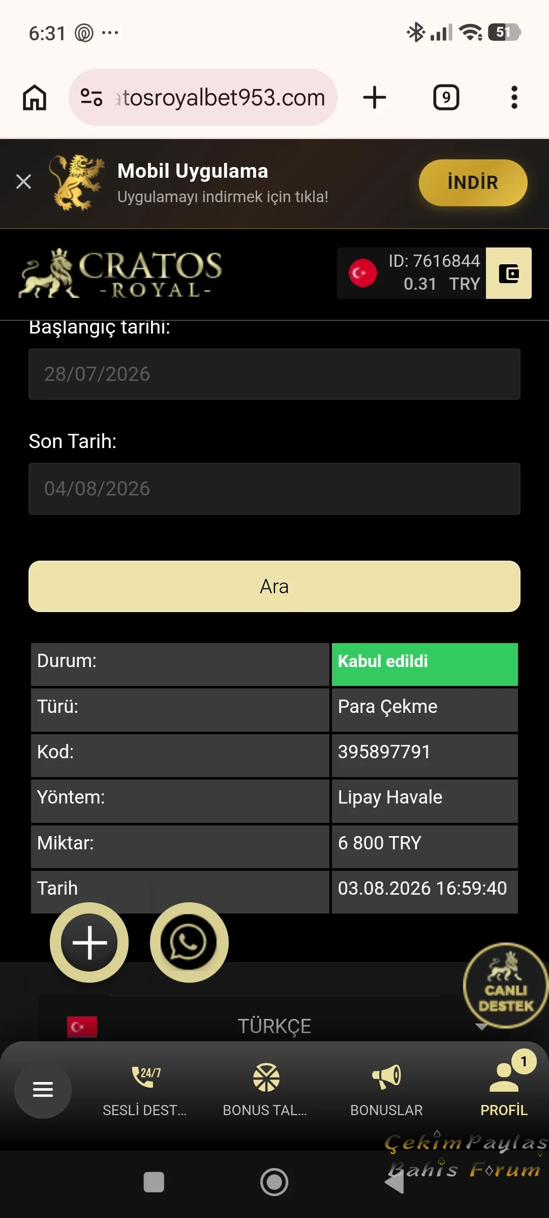 64876.webp