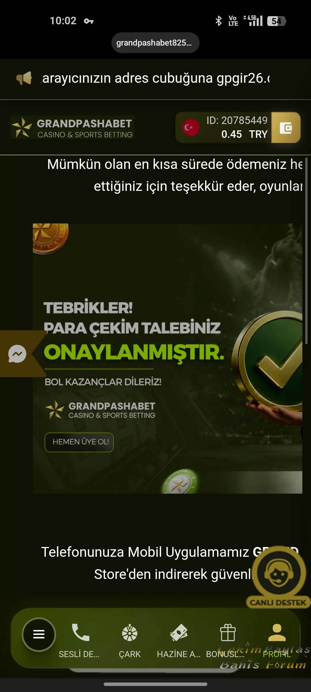 6774.webp