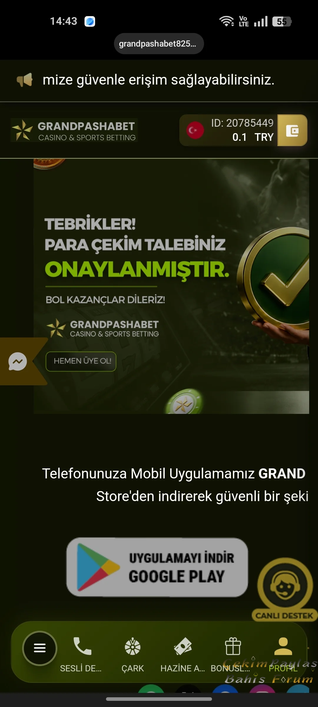 7987.webp