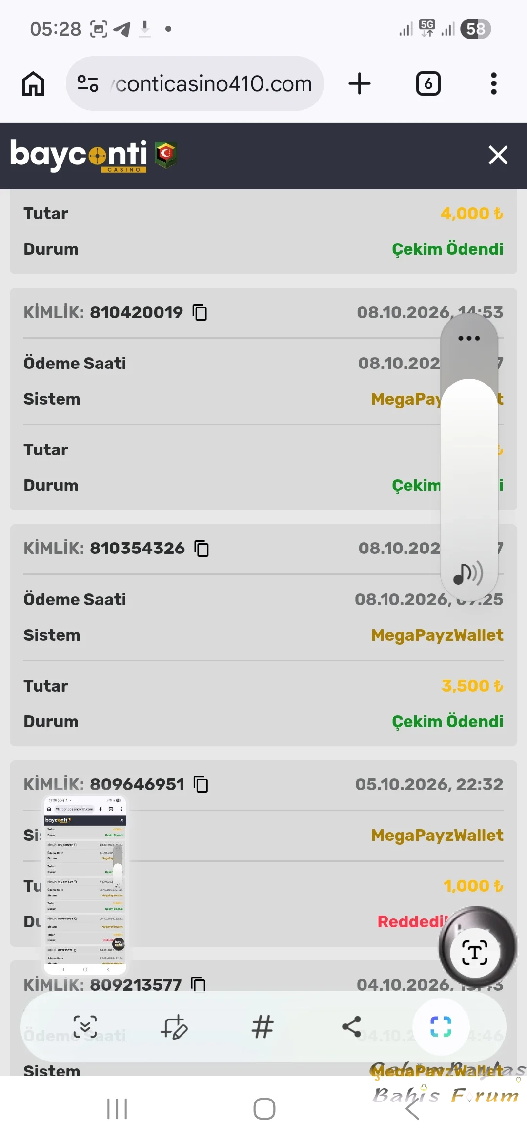 9186.webp